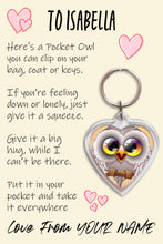 Load image into Gallery viewer, Pocket Owl Keyring, Pocket Hug, Bag Tag, Kids Birthday/Christmas Gift
